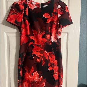 Calvin Klein Red and Black Flower Dress Size 10